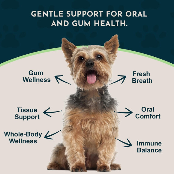 Animal Essentials Herbal Formula Healthy Gums for Dogs & Cats 1-oz - Dog Supplements & Vitamins 3