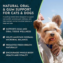 Animal Essentials Herbal Formula Healthy Gums for Dogs & Cats 1-oz - Dog Supplements & Vitamins 6