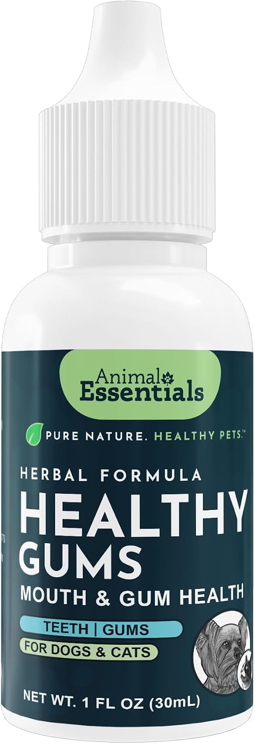 Animal Essentials Herbal Formula Healthy Gums for Dogs & Cats 1-oz - Dog Supplements & Vitamins 1