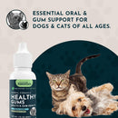Animal Essentials Herbal Formula Healthy Gums for Dogs & Cats 1-oz - Dog Supplements & Vitamins 8