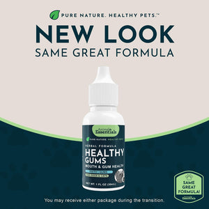 Animal Essentials Herbal Formula Healthy Gums for Dogs & Cats 1-oz - Dog Supplements & Vitamins 2
