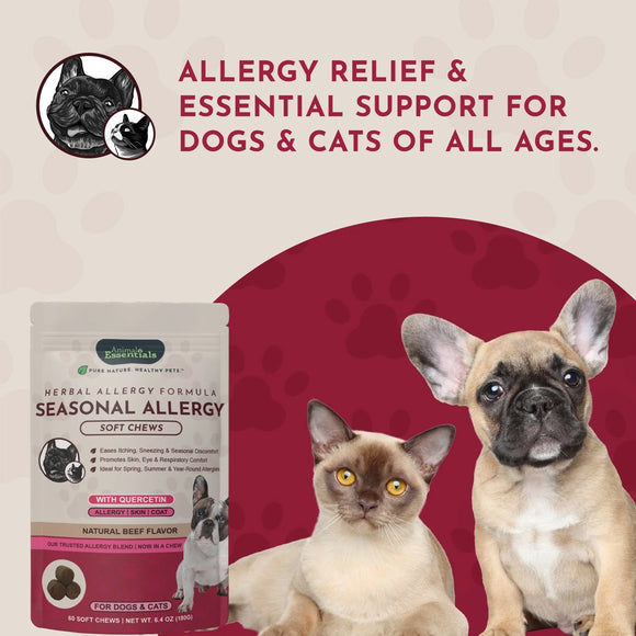 Animal Essentials Herbal Seasonal Allergy Formula Soft Chews for Dogs & Cats 60-count - Dog Supplements & Vitamins 9