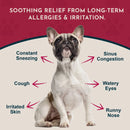 Animal Essentials Herbal Seasonal Allergy Formula Soft Chews for Dogs & Cats 60-count - Dog Supplements & Vitamins 4