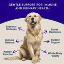 Animal Essentials Herbal Tonic Astragalus Supports Immune & Kidney Function for Dogs & Cats - Dog Supplements &