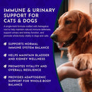 Animal Essentials Herbal Tonic Astragalus Supports Immune & Kidney Function for Dogs & Cats - Dog Supplements &