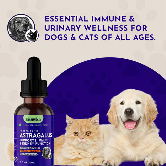 Animal Essentials Herbal Tonic Astragalus Supports Immune & Kidney Function for Dogs & Cats - Dog Supplements &
