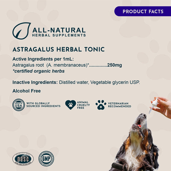 Animal Essentials Herbal Tonic Astragalus Supports Immune & Kidney Function for Dogs & Cats - Dog Supplements &
