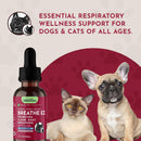 Animal Essentials Herbal Tonic Blend Breathe Ez Promotes Clear Easy Breathing for Dogs & Cats - Dog Supplements &