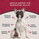 Animal Essentials Herbal Tonic Blend Breathe Ez Promotes Clear Easy Breathing for Dogs & Cats - Dog Supplements &