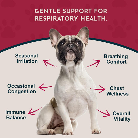 Animal Essentials Herbal Tonic Blend Breathe Ez Promotes Clear Easy Breathing for Dogs & Cats - Dog Supplements &