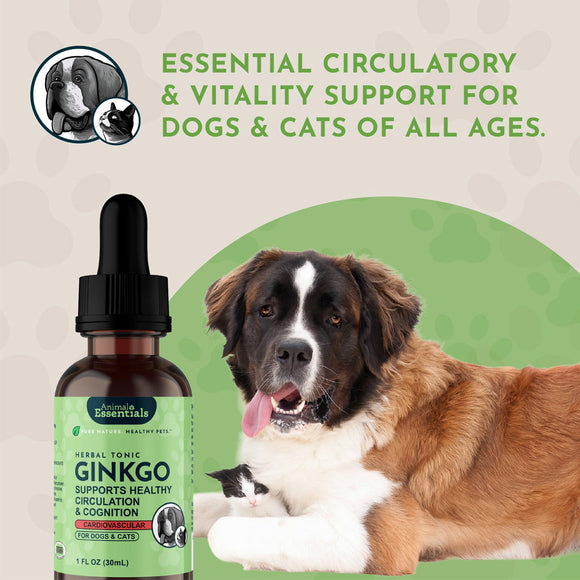 Animal Essentials Herbal Tonic Blend Ginkgo Supports Healthy Circulation & Cognition for Dogs & Cats - Dog Supplements