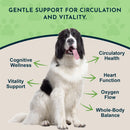 Animal Essentials Herbal Tonic Blend Ginkgo Supports Healthy Circulation & Cognition for Dogs & Cats - Dog Supplements