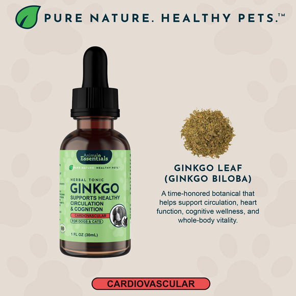 Animal Essentials Herbal Tonic Blend Ginkgo Supports Healthy Circulation & Cognition for Dogs & Cats - Dog Supplements