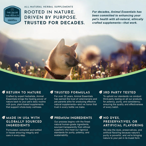 Animal Essentials Herbal Tonic Blend Ginkgo Supports Healthy Circulation & Cognition for Dogs & Cats - Dog Supplements