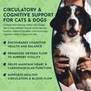 Animal Essentials Herbal Tonic Blend Ginkgo Supports Healthy Circulation & Cognition for Dogs & Cats - Dog Supplements