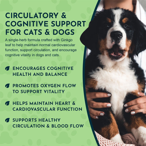 Animal Essentials Herbal Tonic Blend Ginkgo Supports Healthy Circulation & Cognition for Dogs & Cats - Dog Supplements