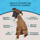 Animal Essentials Herbal Tonic Blend Healthy Gut Prebiotic for Intestinal Well-Being for Dogs & Cats - Dog Supplements