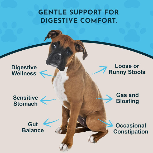 Animal Essentials Herbal Tonic Blend Healthy Gut Prebiotic for Intestinal Well-Being for Dogs & Cats - Dog Supplements