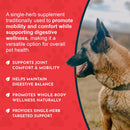 Animal Essentials Herbal Tonic Blend Joint Support Helps Stiffness & Soreness for Dogs & Cats - Dog Supplements &
