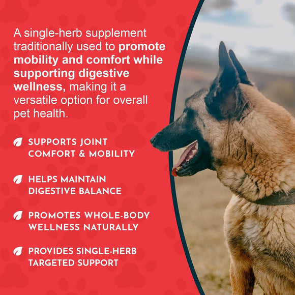 Animal Essentials Herbal Tonic Blend Joint Support Helps Stiffness & Soreness for Dogs & Cats - Dog Supplements &