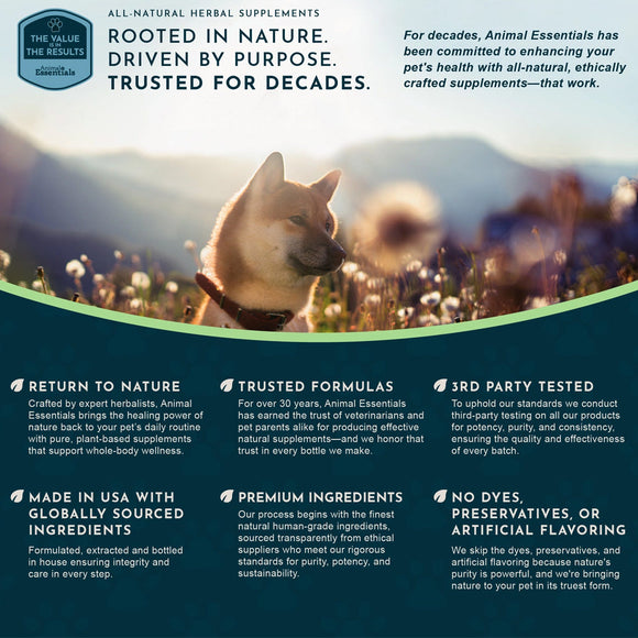 Animal Essentials Herbal Tonic Blend Liver Defense for Dogs & Cats - Dog Supplements & Vitamins 6