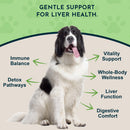 Animal Essentials Herbal Tonic Blend Liver Defense for Dogs & Cats - Dog Supplements & Vitamins 12