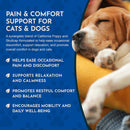 Animal Essentials Herbal Tonic Comfort Plus Manages Discomfort & Stress for Dogs & Cats - Dog Supplements & Vitamins 6