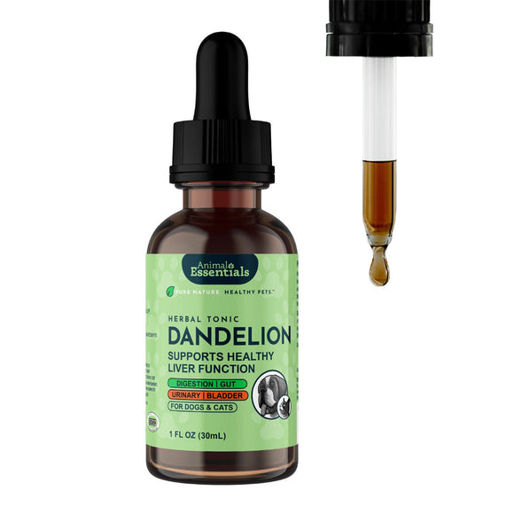 Animal Essentials Herbal Tonic Dandelion Supports Healthy Liver Function for Dogs & Cats - 1-oz - Dog Supplements &