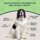 Animal Essentials Herbal Tonic Dandelion Supports Healthy Liver Function for Dogs & Cats - Dog Supplements & Vitamins 5