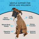 Animal Essentials Herbal Tonic Detox Blend Supports Normal Liver Detoxification for Dogs & Cats - Dog Supplements &