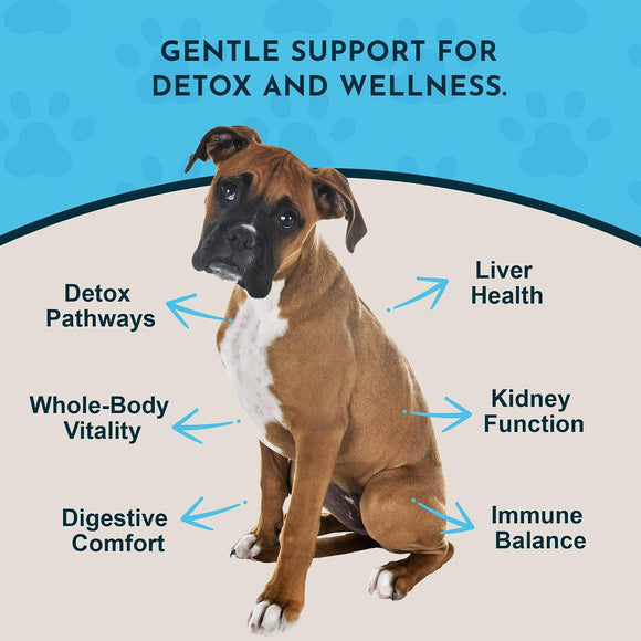 Animal Essentials Herbal Tonic Detox Blend Supports Normal Liver Detoxification for Dogs & Cats - Dog Supplements &
