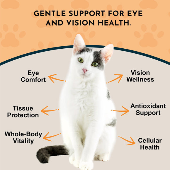 Animal Essentials Herbal Tonic Eye Defense Supports Ocular Health for Dogs & Cats - Dog Supplements & Vitamins 12