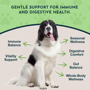 Animal Essentials Herbal Tonic Garlic Antioxidant Protection for Dogs & Cats - Dog Supplements & Vitamins 2