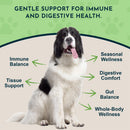 Animal Essentials Herbal Tonic Golden Seal Promotes Resistance to Pathogens for Dogs & Cats 1-oz - Dog Supplements &