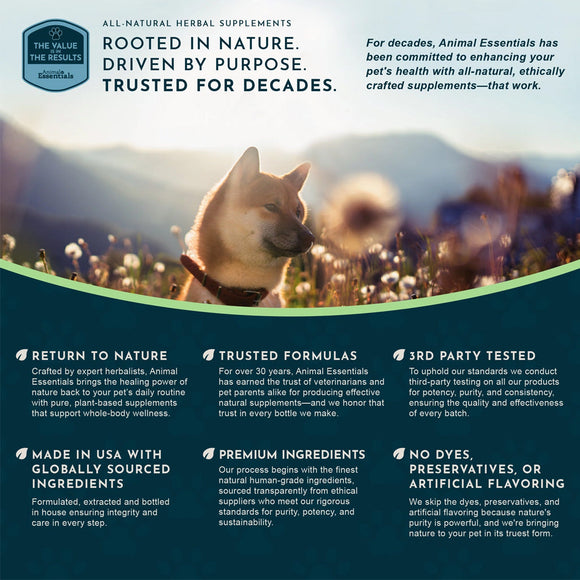 Animal Essentials Herbal Tonic Golden Seal Promotes Resistance to Pathogens for Dogs & Cats 1-oz - Dog Supplements &