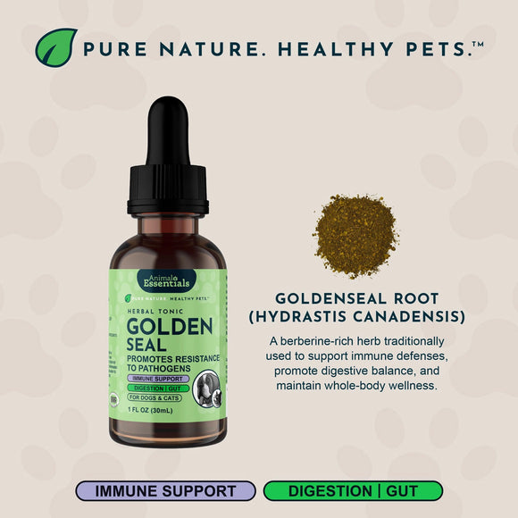 Animal Essentials Herbal Tonic Golden Seal Promotes Resistance to Pathogens for Dogs & Cats 1-oz - Dog Supplements &