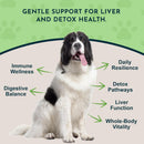 Animal Essentials Herbal Tonic Milk Thistle Supports Healthy Liver Function for Dogs & Cats - Dog Supplements &