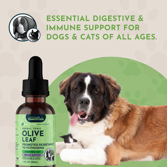 Animal Essentials Herbal Tonic Olive Leaf Promotes Resistance to Pathogens for Dogs & Cats - Dog Supplements & Vitamins