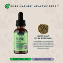 Animal Essentials Herbal Tonic Olive Leaf Promotes Resistance to Pathogens for Dogs & Cats - Dog Supplements & Vitamins
