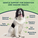 Animal Essentials Herbal Tonic Olive Leaf Promotes Resistance to Pathogens for Dogs & Cats - Dog Supplements & Vitamins
