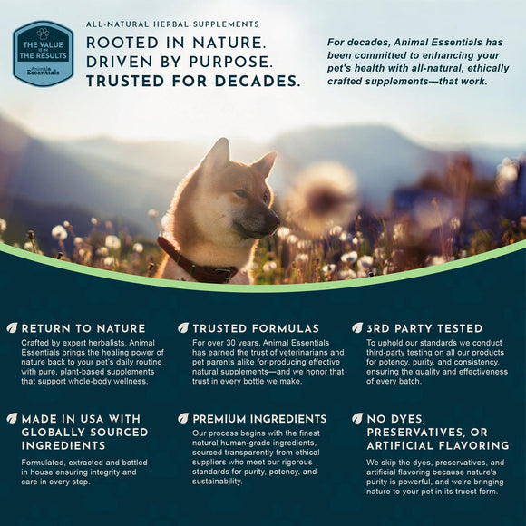 Animal Essentials Herbal Tonic Olive Leaf Promotes Resistance to Pathogens for Dogs & Cats - Dog Supplements & Vitamins