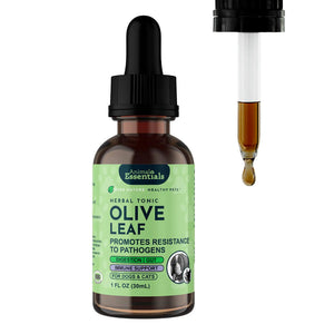 Animal Essentials Herbal Tonic Olive Leaf Promotes Resistance to Pathogens for Dogs & Cats - 1-oz - Dog Supplements &