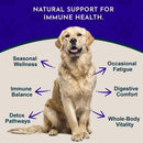 Animal Essentials Herbal Tonic Resist & Renew Boosts Immunity & Toxin Elimination for Dogs & Cats - Dog Supplements &