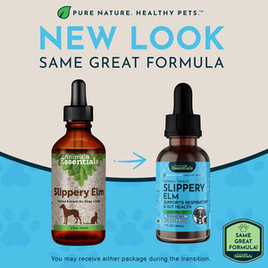 Animal Essentials Herbal Tonic Slippery Elm Supports Respiratory & Gut Health for Dogs & Cats - Dog Supplements &