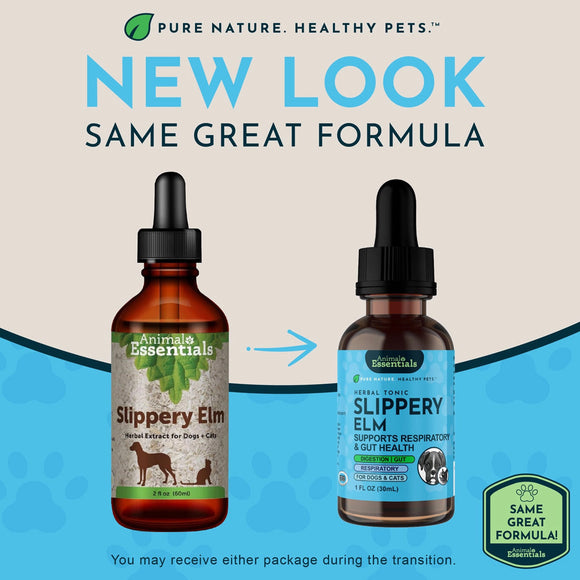 Animal Essentials Herbal Tonic Slippery Elm Supports Respiratory & Gut Health for Dogs & Cats - Dog Supplements &