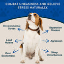Animal Essentials Herbal Tonic Tranquil Times Manages Stress & Promotes Calm for Dogs & Cats - Dog Supplements &