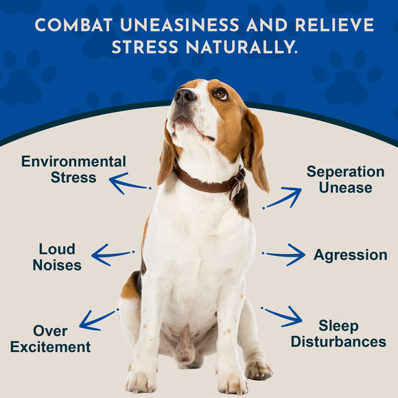 Animal Essentials Herbal Tonic Tranquil Times Manages Stress & Promotes Calm for Dogs & Cats - Dog Supplements &