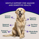 Animal Essentials Immuno Thrive Supplement Powder for Dogs & Cats 5.3-oz - Dog Supplements & Vitamins 3