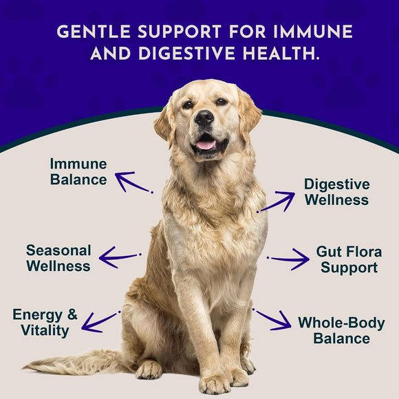 Animal Essentials Immuno Thrive Supplement Powder for Dogs & Cats 5.3-oz - Dog Supplements & Vitamins 3