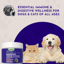 Animal Essentials Immuno Thrive Supplement Powder for Dogs & Cats 5.3-oz - Dog Supplements & Vitamins 9